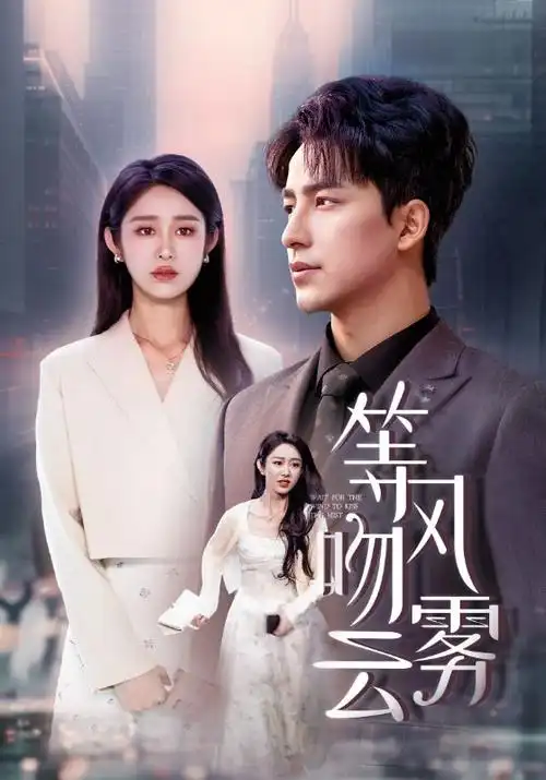 《锦绣人生》电视剧海报